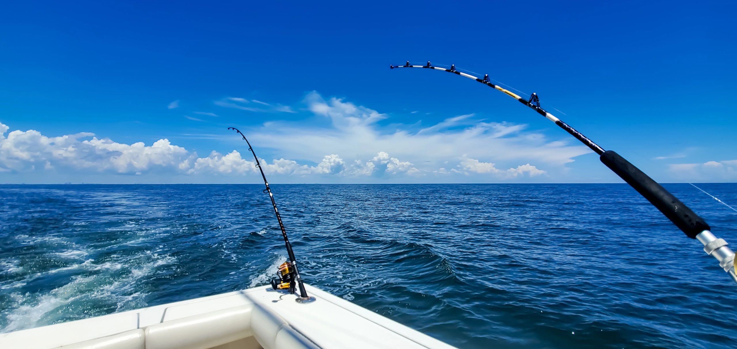 Fishing rods boat ocean horizon